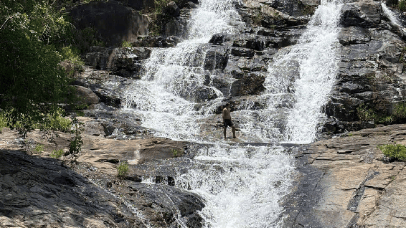Explore Cocoa Garden, Waterfall, and Tropical Rainforest Tour (4)